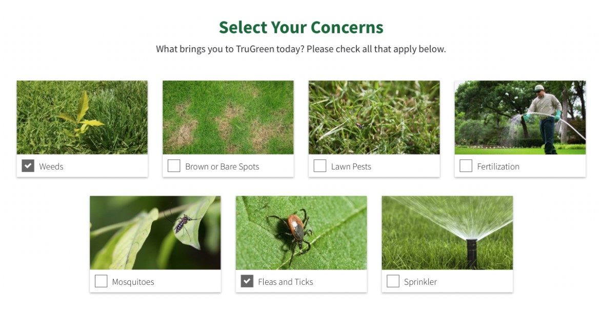 problembaserade urval